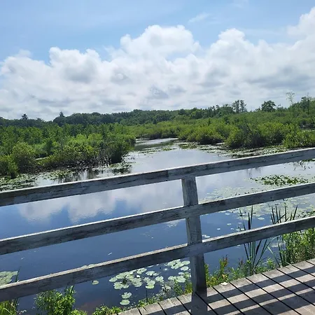 Homes Close To The Seaside *